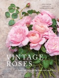 Cover: Vintage Roses - Pavilion
