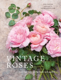 Enlarge image Cover: Vintage Roses - Pavilion