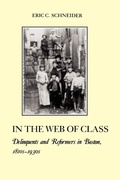 Cover: In the Web of Class - New York University Press