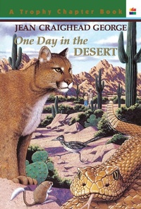 Enlarge image Cover: One Day in the Desert - HarperCollins