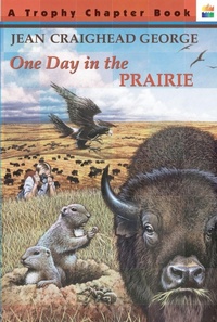 Enlarge image Cover: One Day in the Prairie - HarperCollins