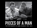 Cover: Pieces Of A Man - Artvoices Art Books