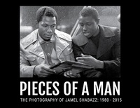 Enlarge image Cover: Pieces Of A Man - Artvoices Art Books