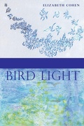 Cover: Bird Light - Saint Julian Press, Inc.