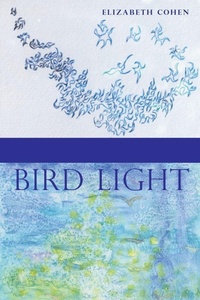 Enlarge image Cover: Bird Light - Saint Julian Press, Inc.