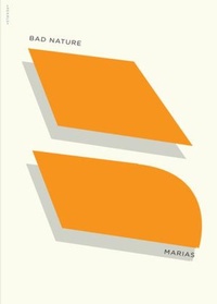 Abbildung von: Bad Nature, or With Elvis in Mexico - New Directions Publishing Corporation