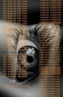 Cover: The Hour of the Star - New Directions Publishing Corporation