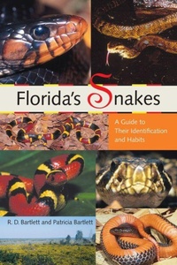Abbildung von: Florida's Snakes - University Press of Florida