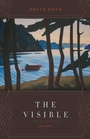 Cover: The Visible - Louisiana State University Press