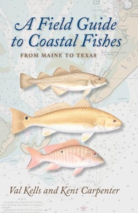 Abbildung von: A Field Guide to Coastal Fishes - Johns Hopkins University Press