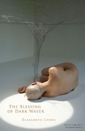 Cover: The Blessing of Dark Water - ALICE JAMES BOOKS