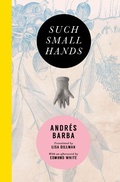 Cover: Such Small Hands - Transit Books