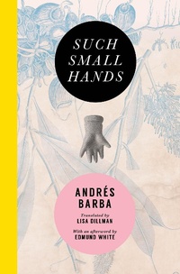 Enlarge image Cover: Such Small Hands - Transit Books