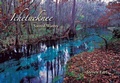 Cover: Ichetucknee - University Press of Florida