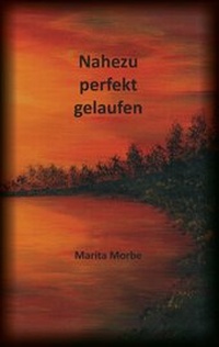 Abbildung von: Nahezu perfekt gelaufen - Books on Demand