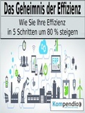 Cover: Das Geheimnis der Effizienz - epubli