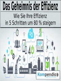 Abbildung von: Das Geheimnis der Effizienz - epubli