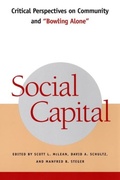Cover: Social Capital - New York University Press