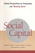 Cover: Social Capital - New York University Press