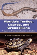 Cover: Florida's Turtles, Lizards, and Crocodilians - University Press of Florida