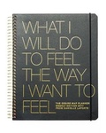 Cover: The Desire Map Planner - Danielle Laporte