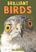 Cover: Brilliant Birds - Badger Publishing