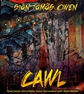 Cover: Cawl - Parthian Books
