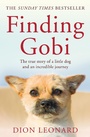 Cover: Finding Gobi (Main edition) - HarperCollins