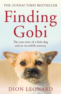Enlarge image Cover: Finding Gobi (Main edition) - HarperCollins