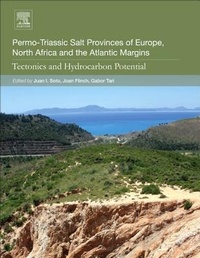 Abbildung von: Permo-Triassic Salt Provinces of Europe, North Africa and the Atlantic Margins - Elsevier