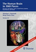 Cover: The Human Brain in 1969 Pieces 2.0 - Thieme Publishers