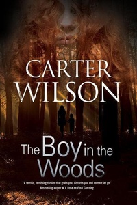 Abbildung von: The Boy in the Woods - Severn House