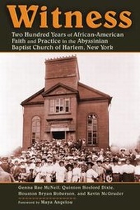 Enlarge image Cover: Witness - William B Eerdmans Publishing Co
