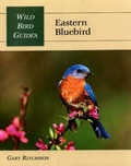 Cover: Eastern Bluebird - Stackpole Books