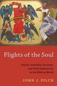 Enlarge image Cover: Flights of the Soul - William B Eerdmans Publishing Co