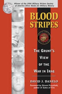 Enlarge image Cover: Blood Stripes - Stackpole Books
