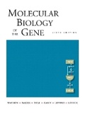 Cover: Molecular Biology of the Gene - Benjamin Cummings