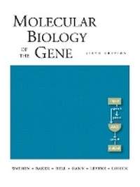 Abbildung von: Molecular Biology of the Gene - Benjamin Cummings
