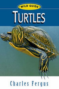 Abbildung von: Turtles - Stackpole Books