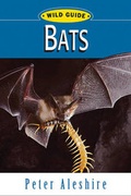Cover: Wild Guide: Bats - Stackpole Books