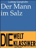 Cover: Der Mann im Salz - Null Papier Verlag