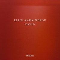 Enlarge image Cover: David - Universal Music Vertrieb - A Division of Universal Music GmbH