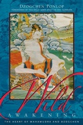 Cover: Wild Awakening - Shambhala