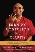 Cover: Turning Confusion into Clarity - Snow Lion