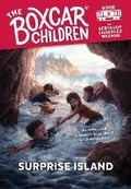 Cover: Surprise Island - Albert Whitman & Company