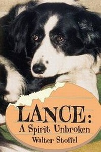 Enlarge image Cover: Lance - Diamond Publishing International