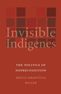 Cover: Invisible Indigenes - University of Nebraska Press
