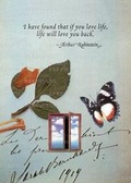 Cover: Butterfly & Window - Greeting Card - Laughing Elephant