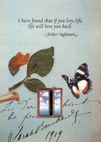 Enlarge image Cover: Butterfly & Window - Greeting Card - Laughing Elephant