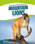 Cover: Mountain Lions - Flux